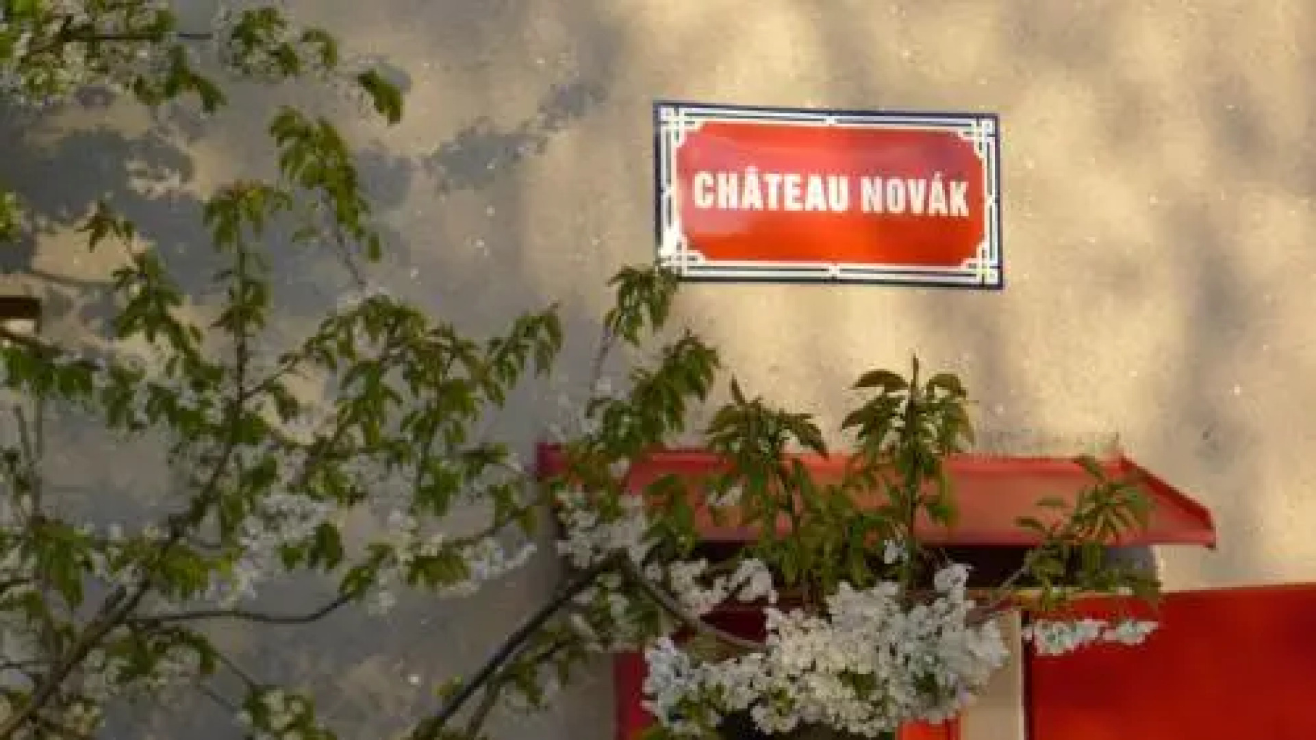 Bed & Breakfast Orli Hnizdo