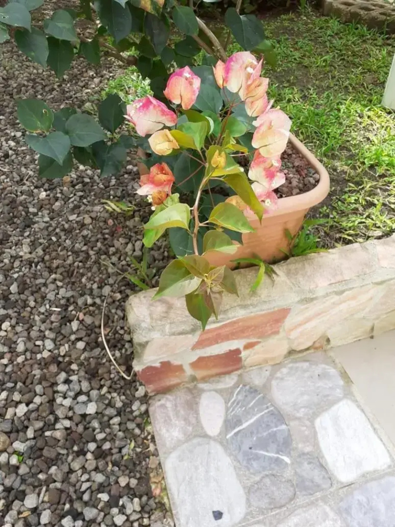 Residence La Taupine Mandarine