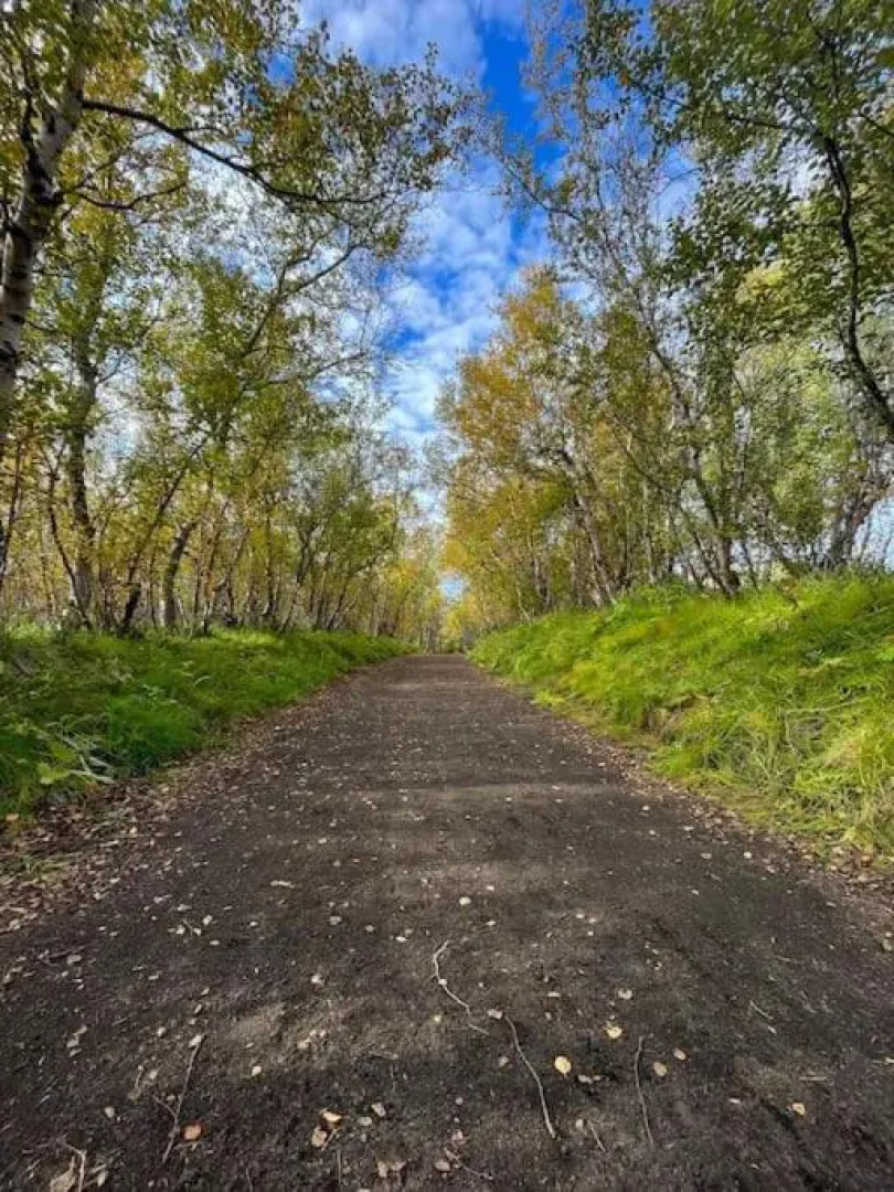 Slow Travel Mývatn - Óli's Homestay-Private house v