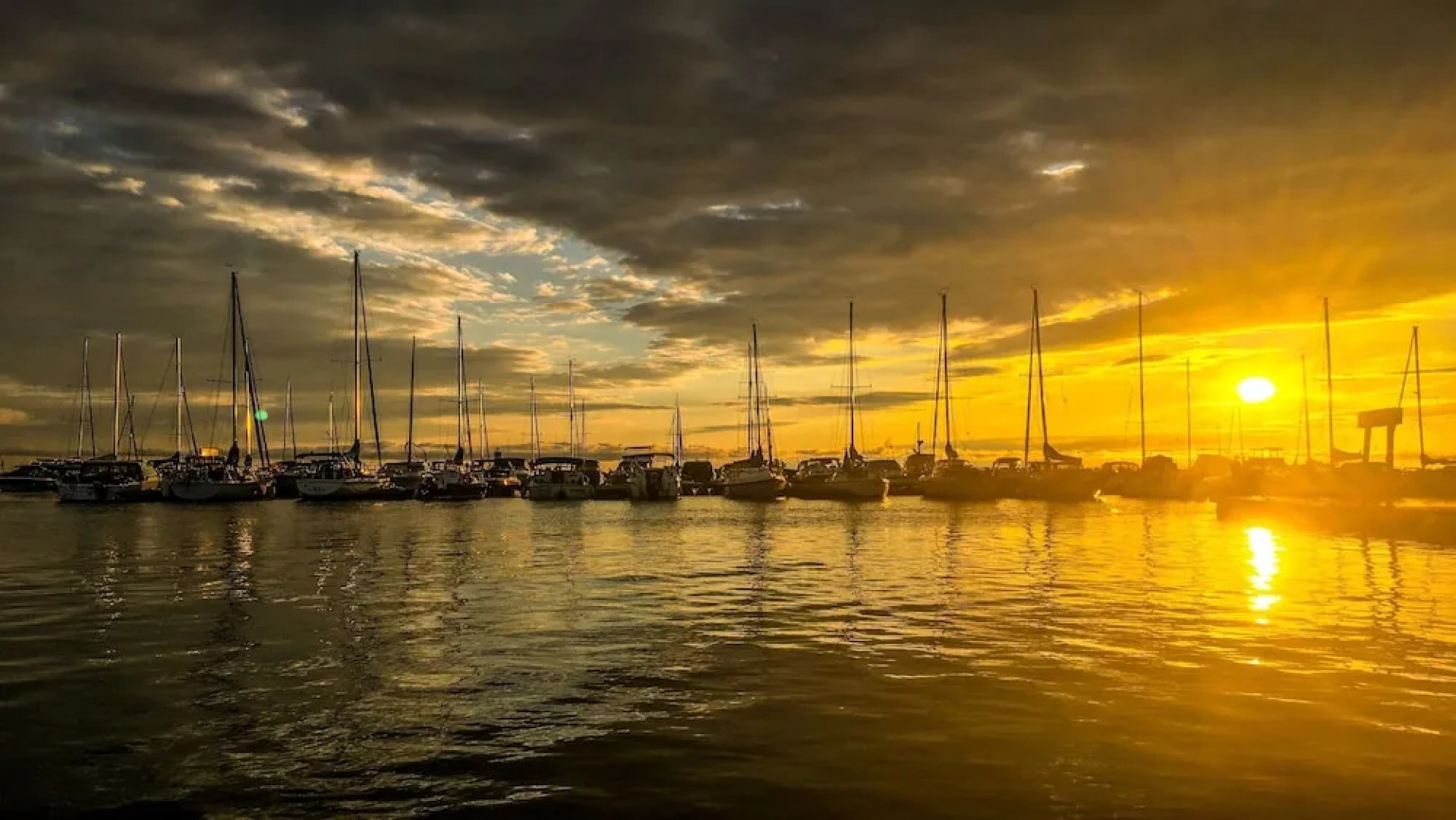 Holiday Inn Express & Suites Collingwood