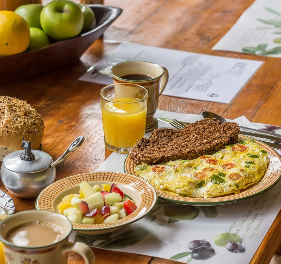 Jacana Gardens Guest Lodge