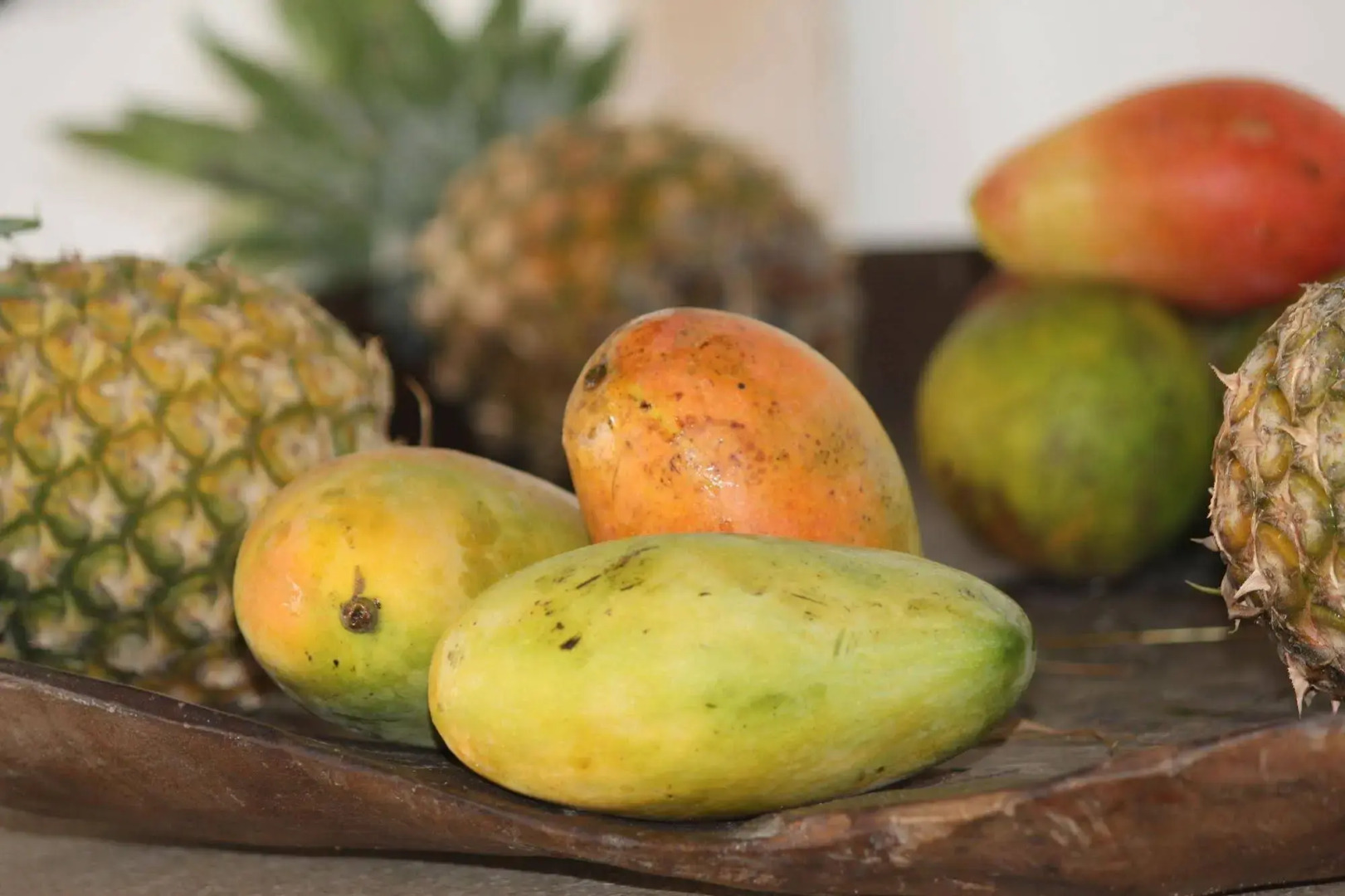 St. Thomas Mawe Boutique Hotel Watamu