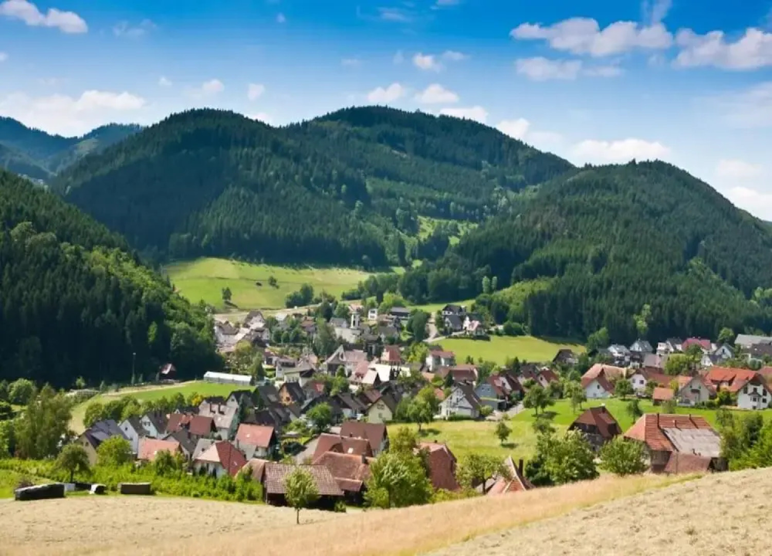 Cosy Farmhouse Apartment at the Edge of the Forest