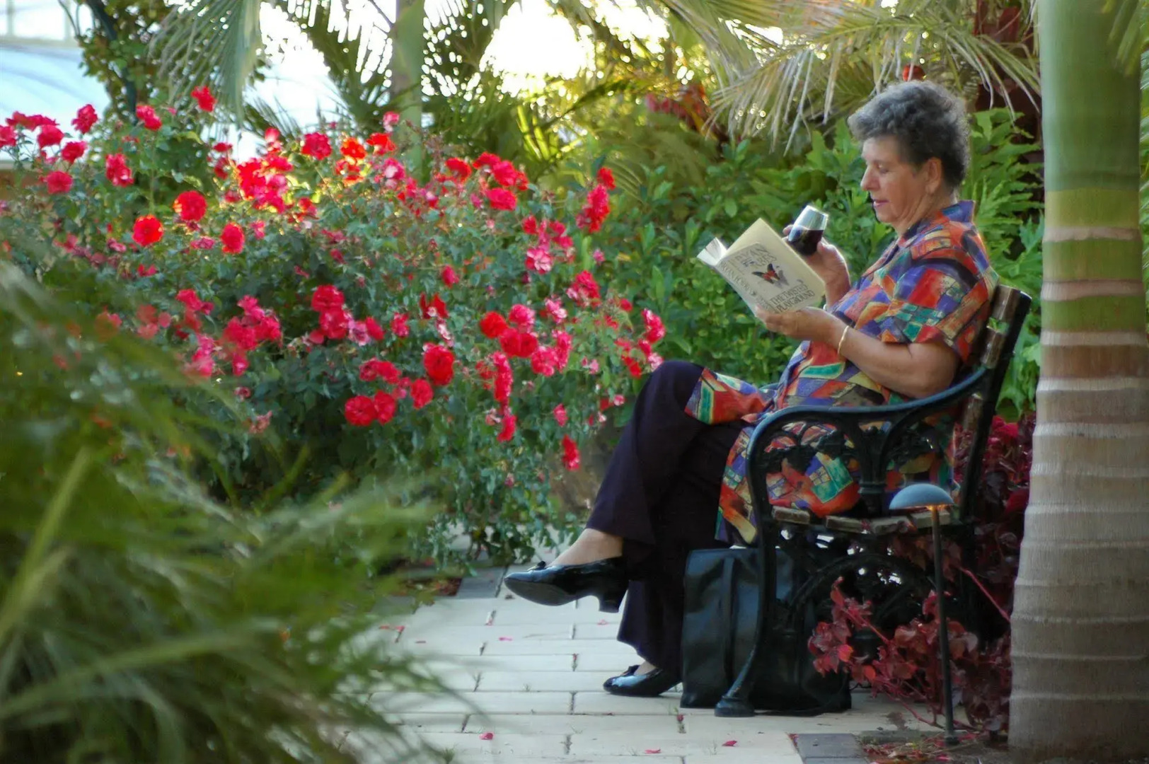 McLaren Vale Motel & Apartments