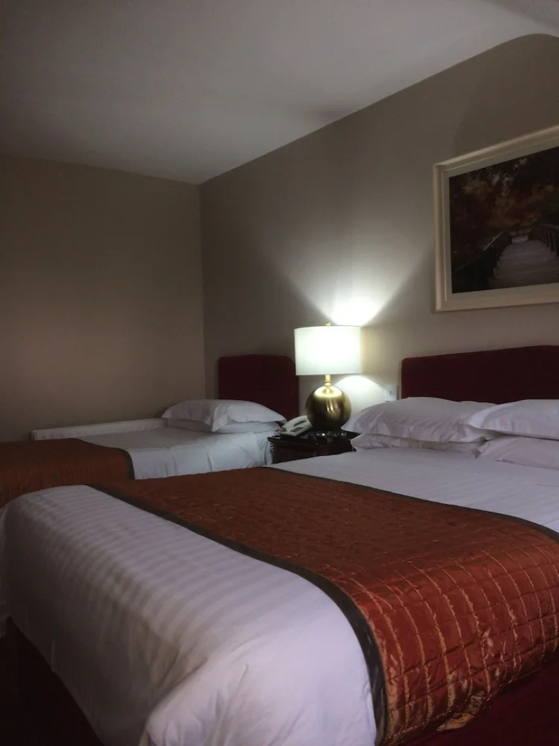 Carey's Viking House Hotel