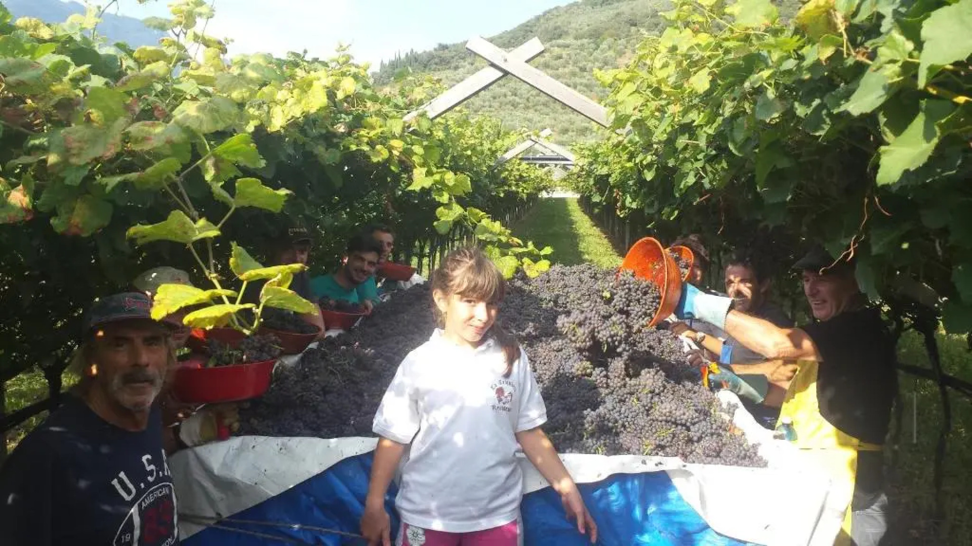 Residence La Colombera