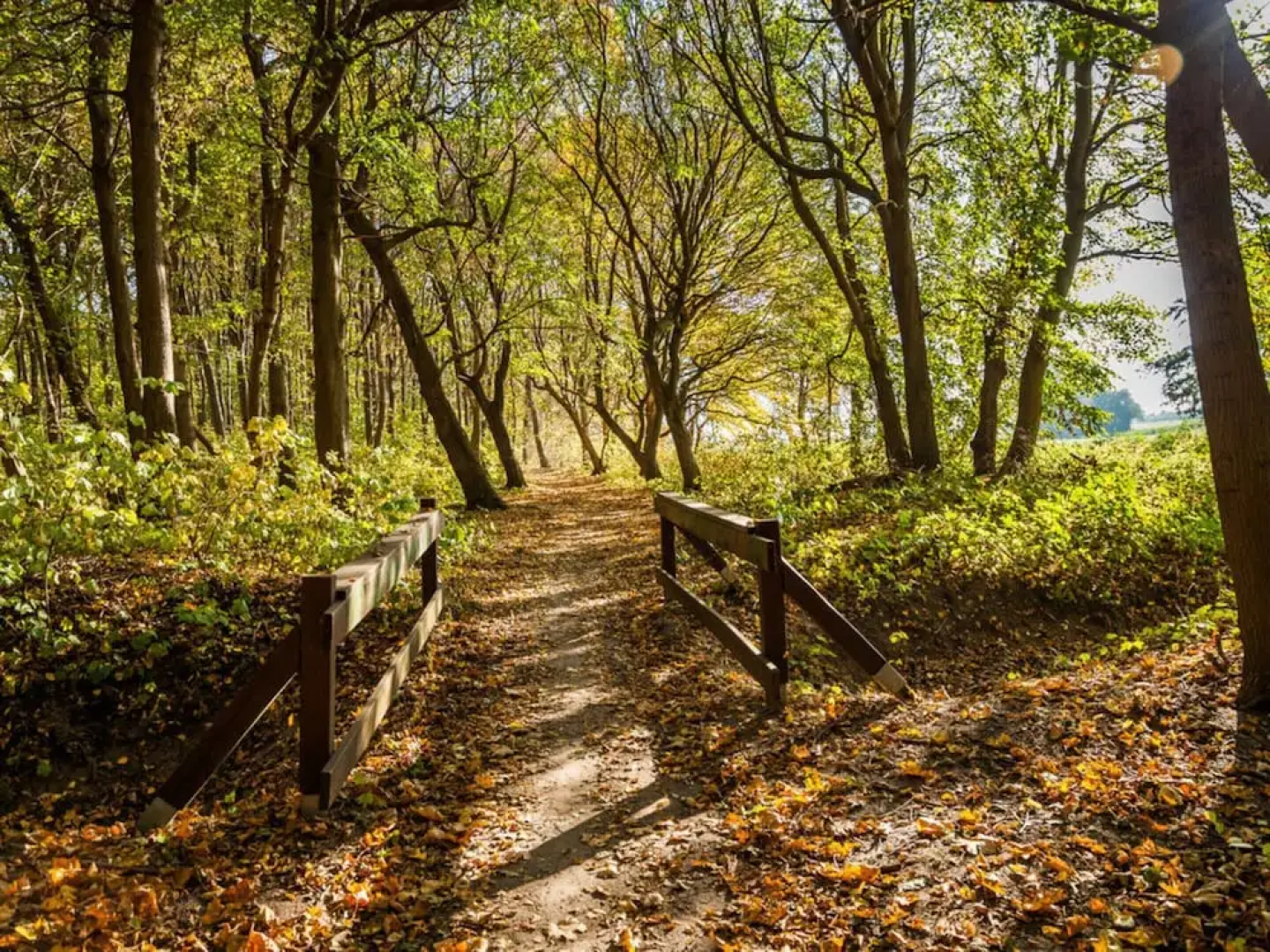 Holiday Apartment Coastal Love