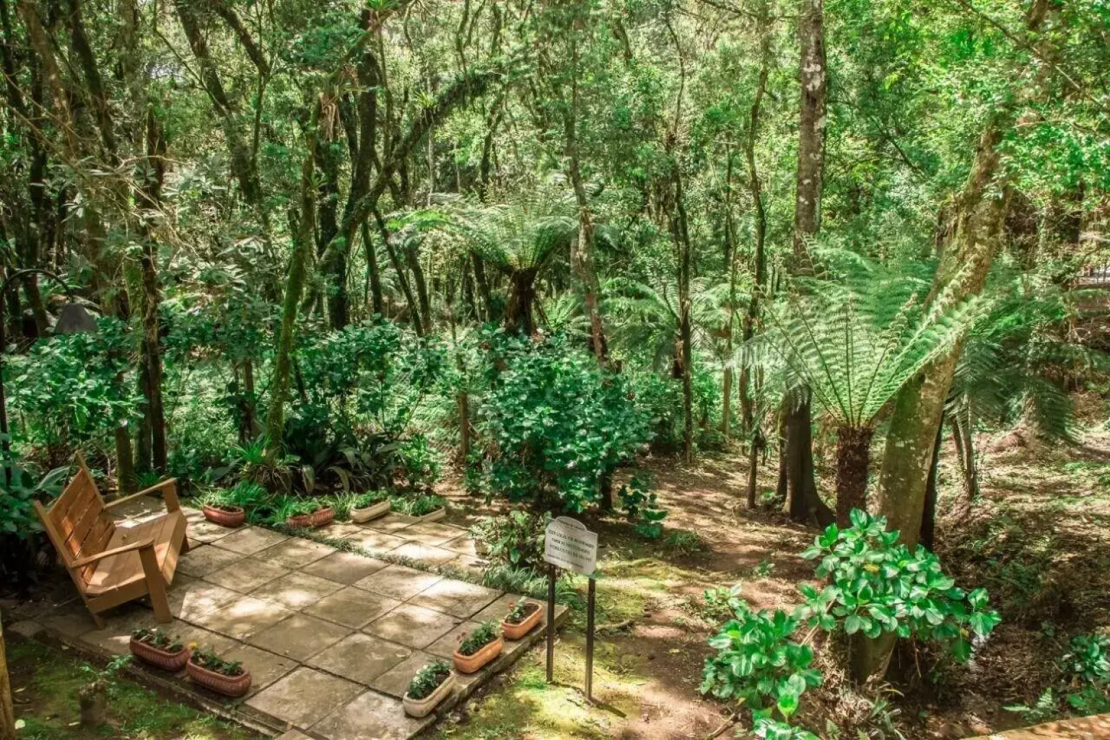 Residencial Jardim dos Pinheiros B