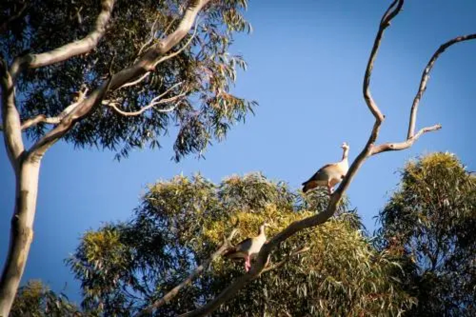 Kweekkraal Guest Farm