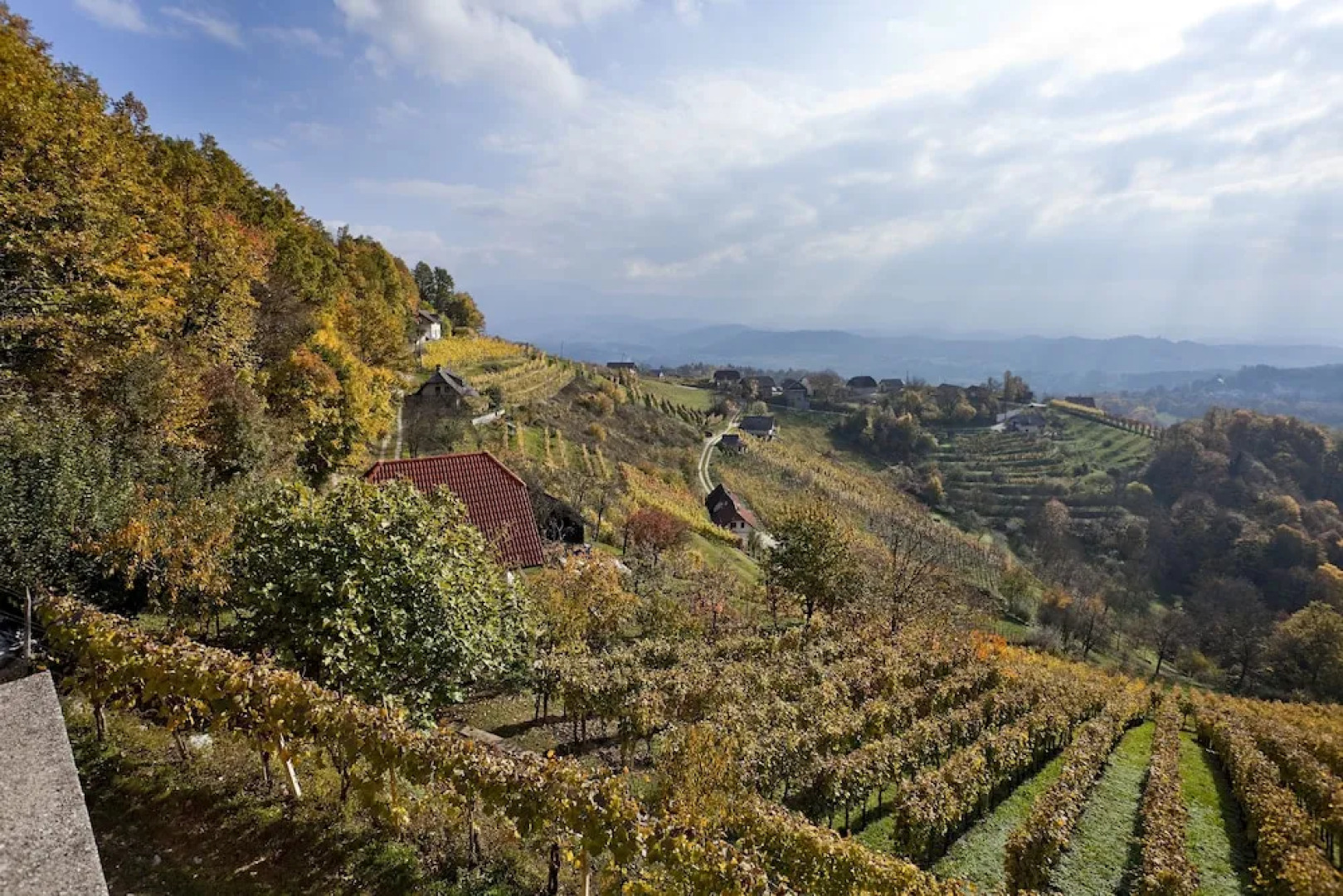 Vineyard cottage Ucman