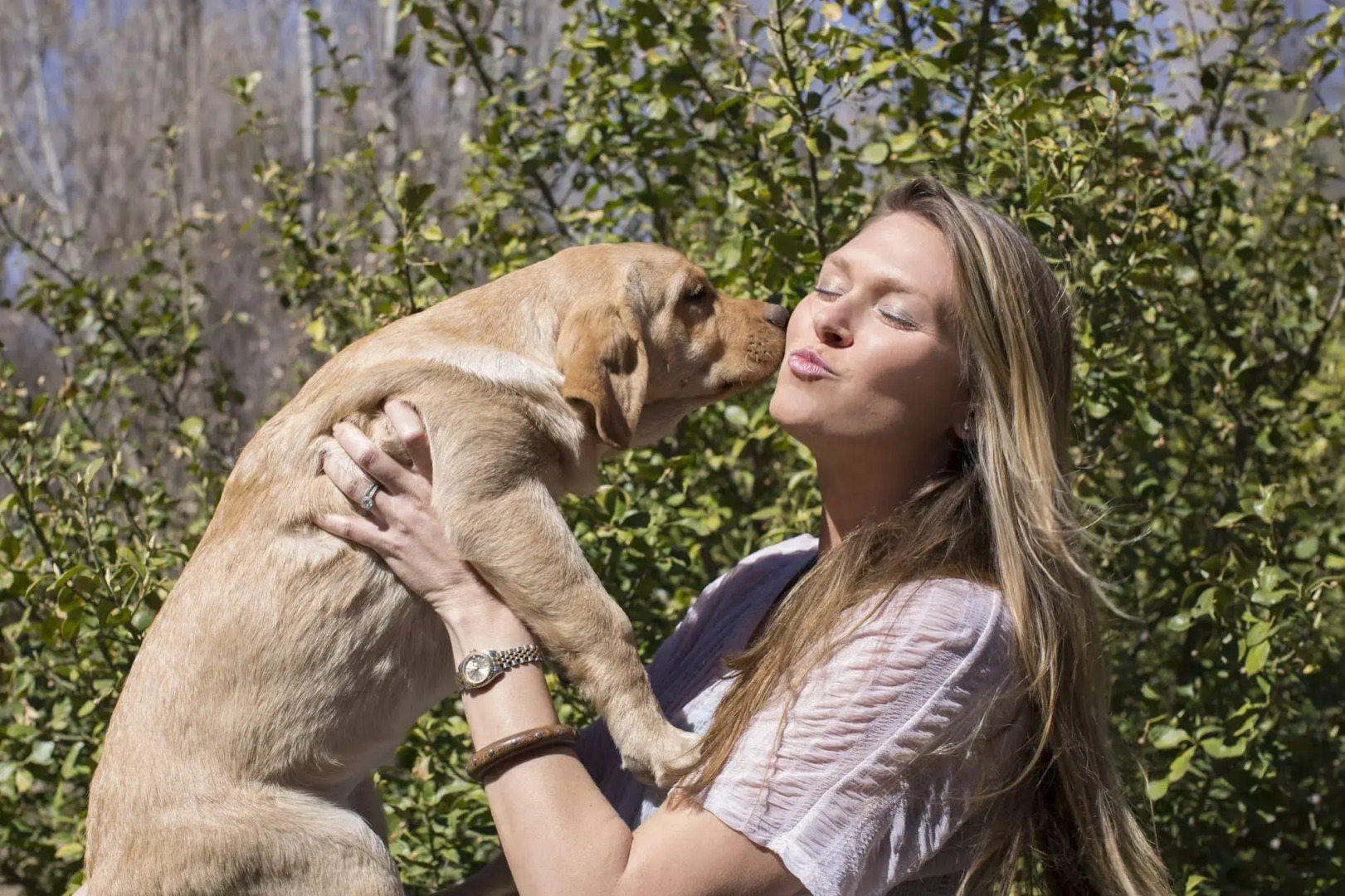 Ojo Santa Fe Spa Resort