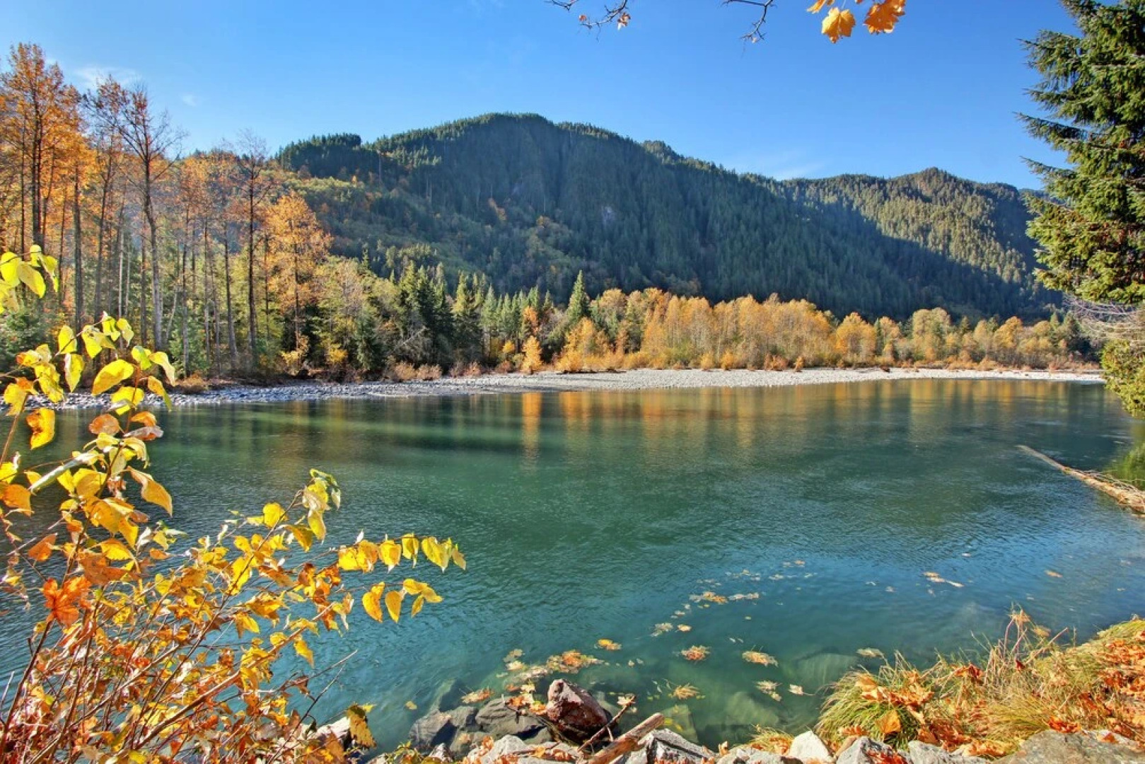 Baring Bend Lodge - Three Bedroom Cabin with Hot Tub