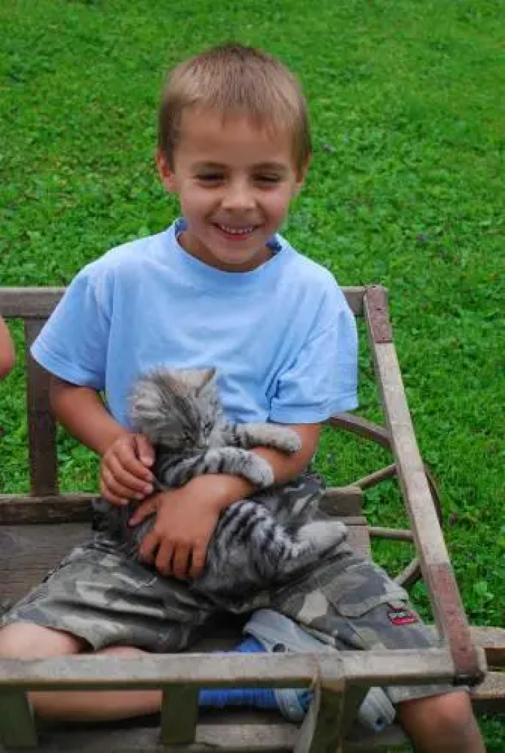 Bauernhof Schoettelbauer