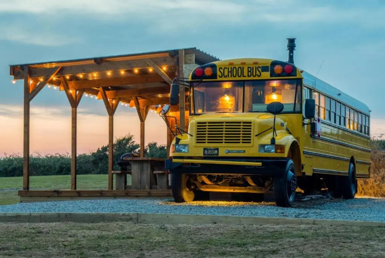 American School Bus - 1 Bedroom  - Blossom Farm - Tiers Cross