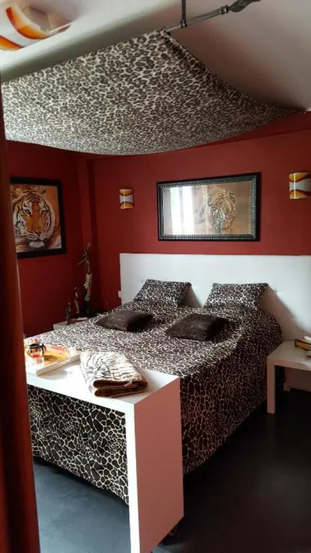 Au berceau du loup agile