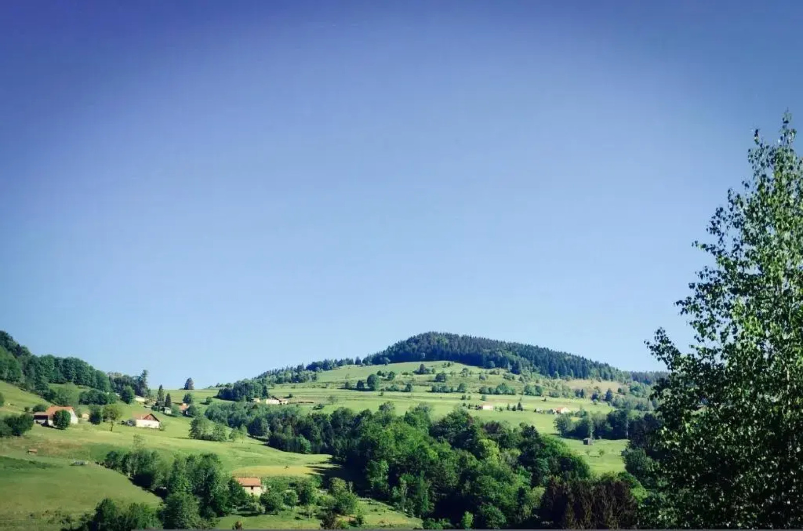 Silver Trees Glamping