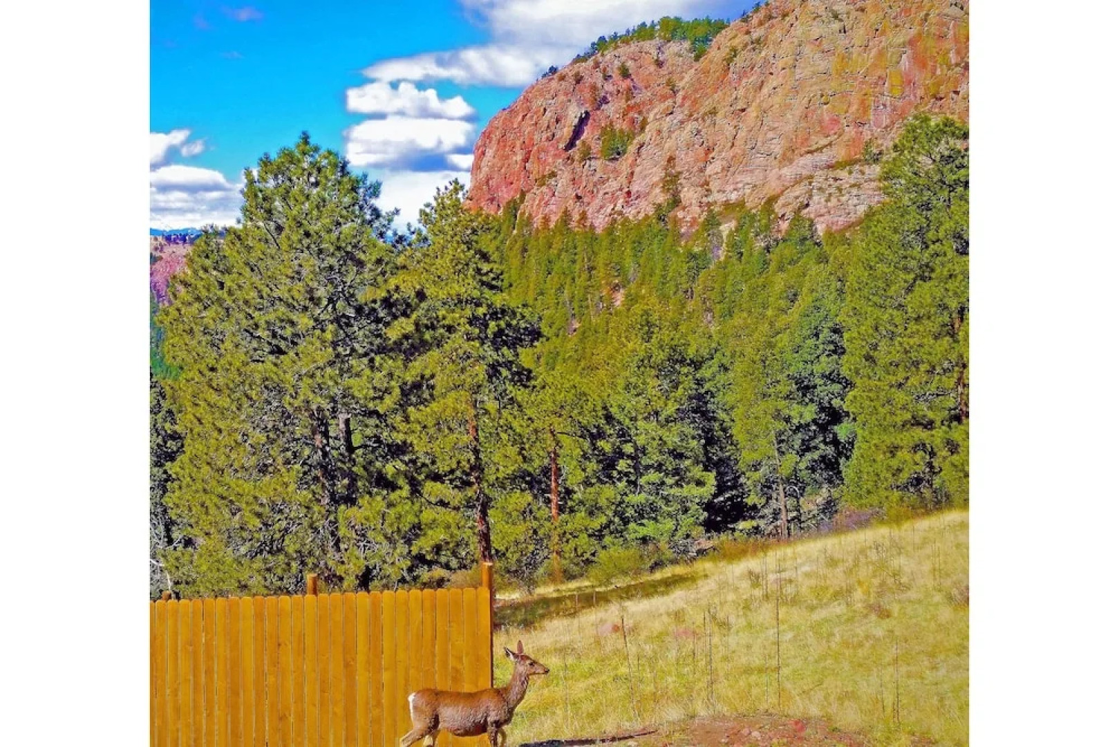 Secluded W/ Game Room & Huge Wraparound Deck 3 Bedroom Cabin