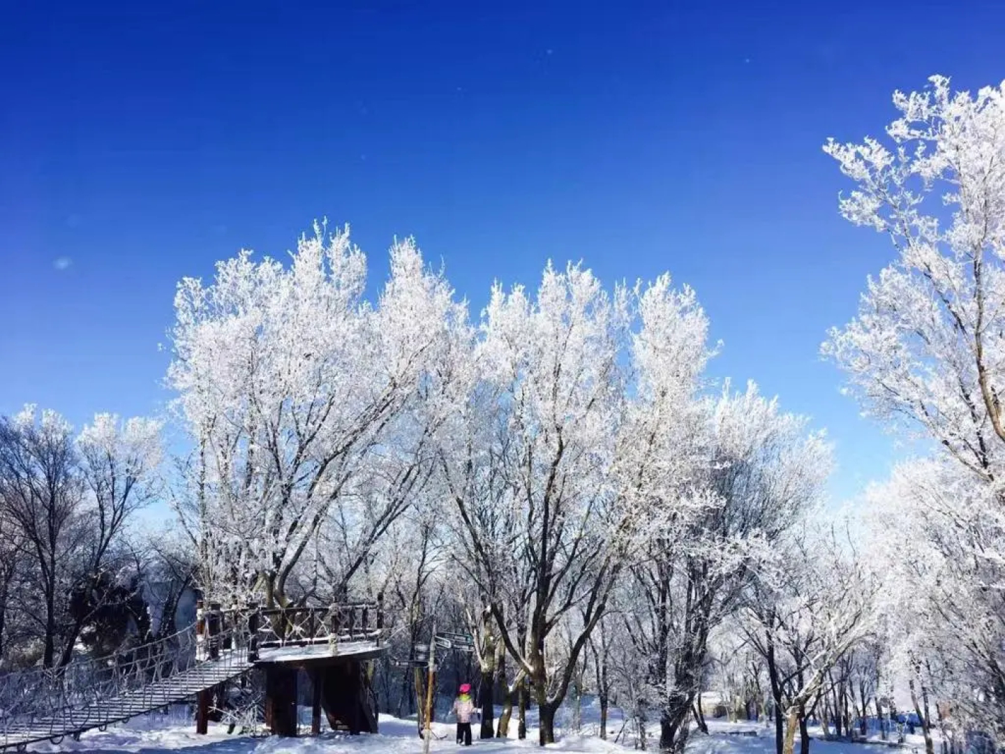 Songhua Lake Qingshan Snow View Apartment