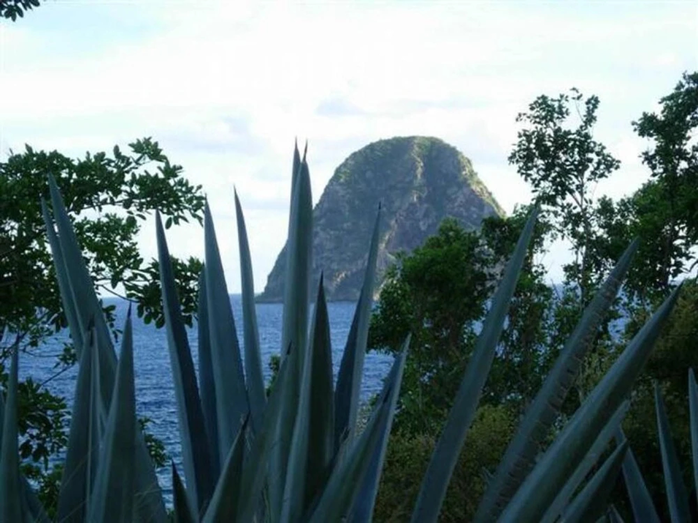 Apartment With 2 Bedrooms in Le Diamant, With Wonderful Mountain View,