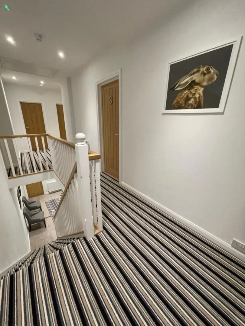 The New Bungalow