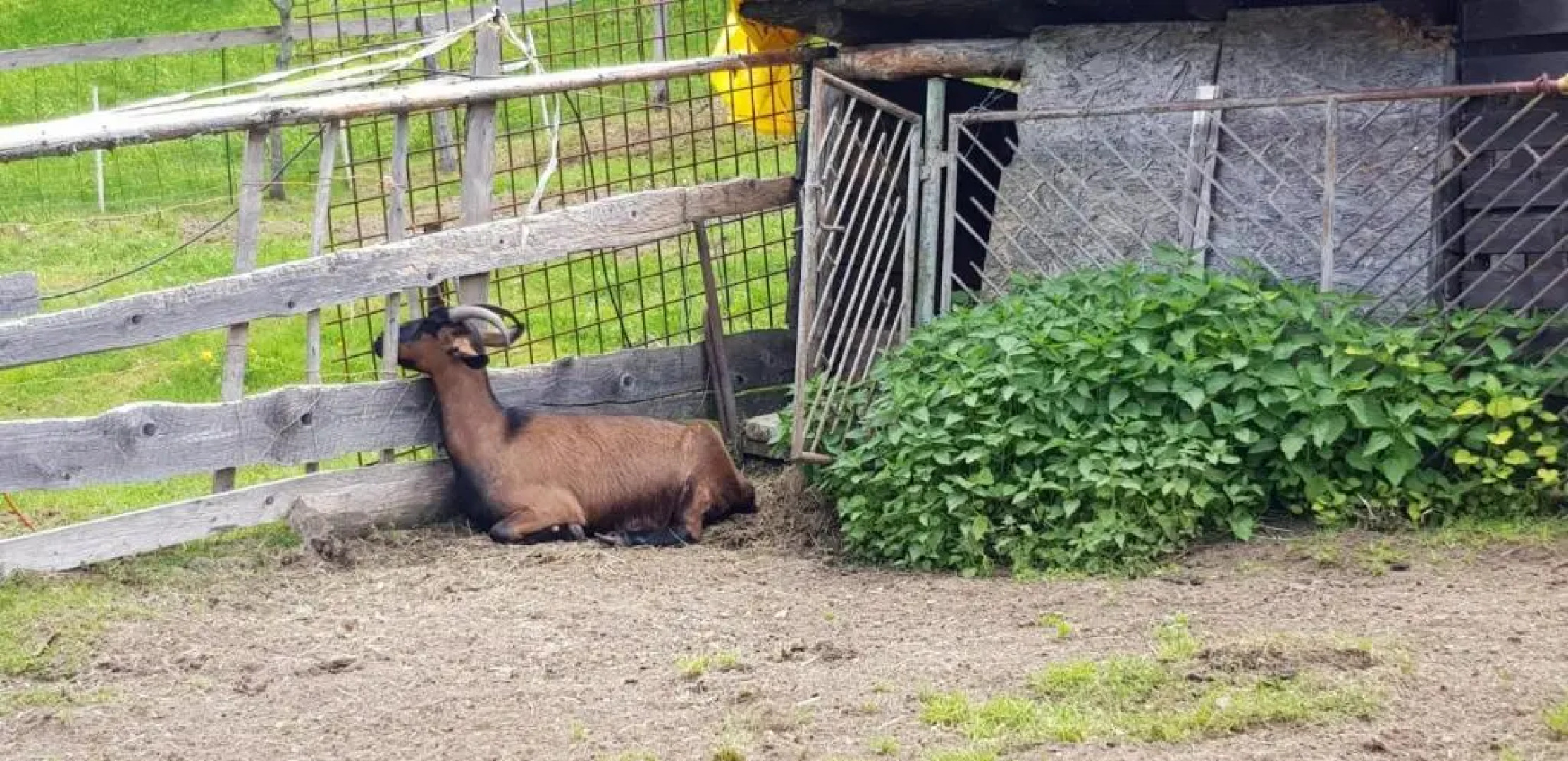 Chata pod Čertovicou