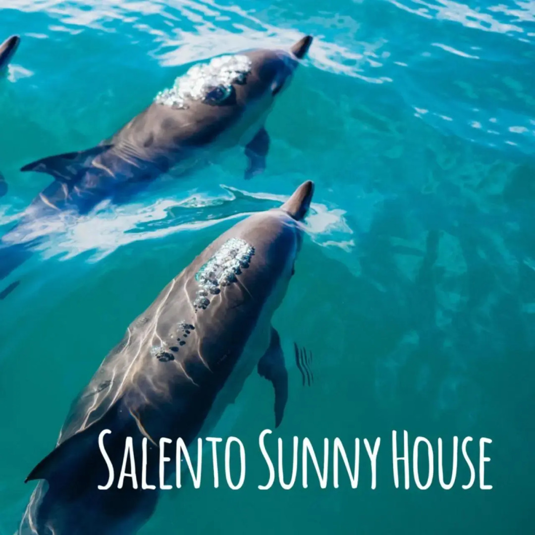 Salento Sunny House
