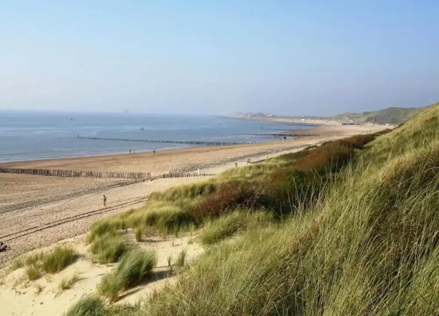 Pet-friendly Escape by the Sea