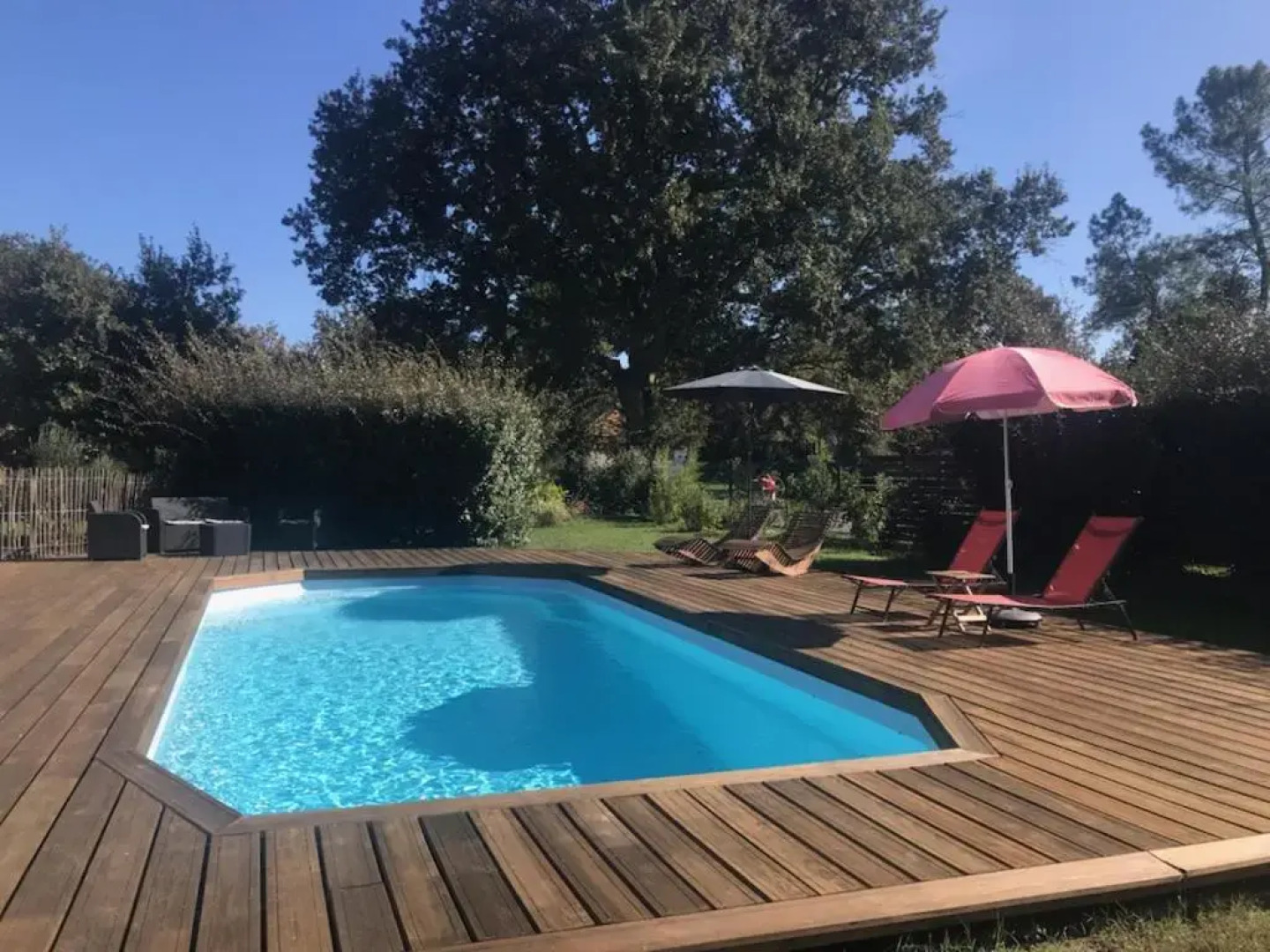 La résinière de pirique