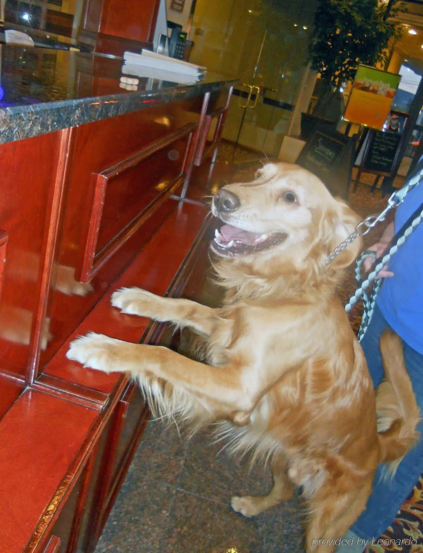 Holiday Inn Scranton East - Dunmore by IHG