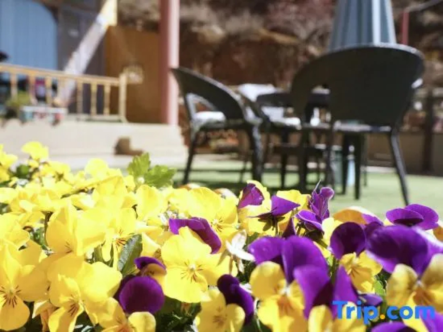 Lugu Lake Cloud - Sea Stacked Courtyard