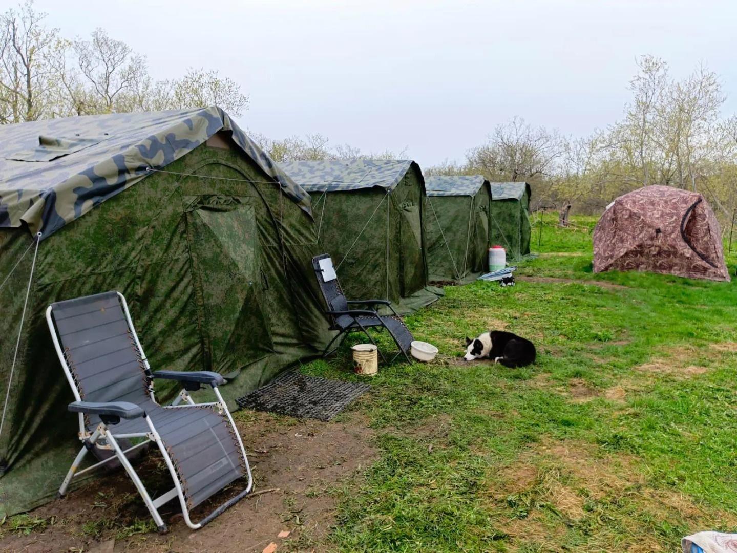 Рыболовный лагерь Большие лососи