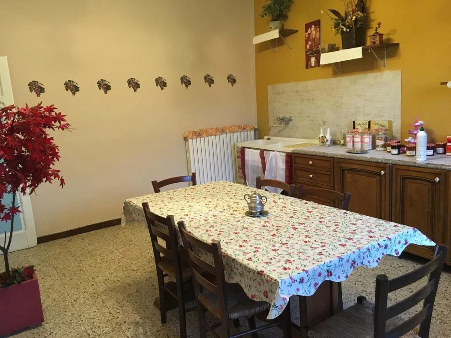 La Rosa Tra Le Vigne