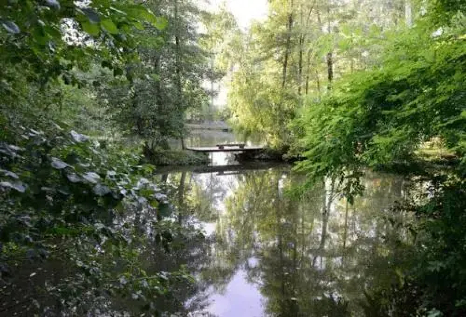 Rybolov pro děti a dospělé