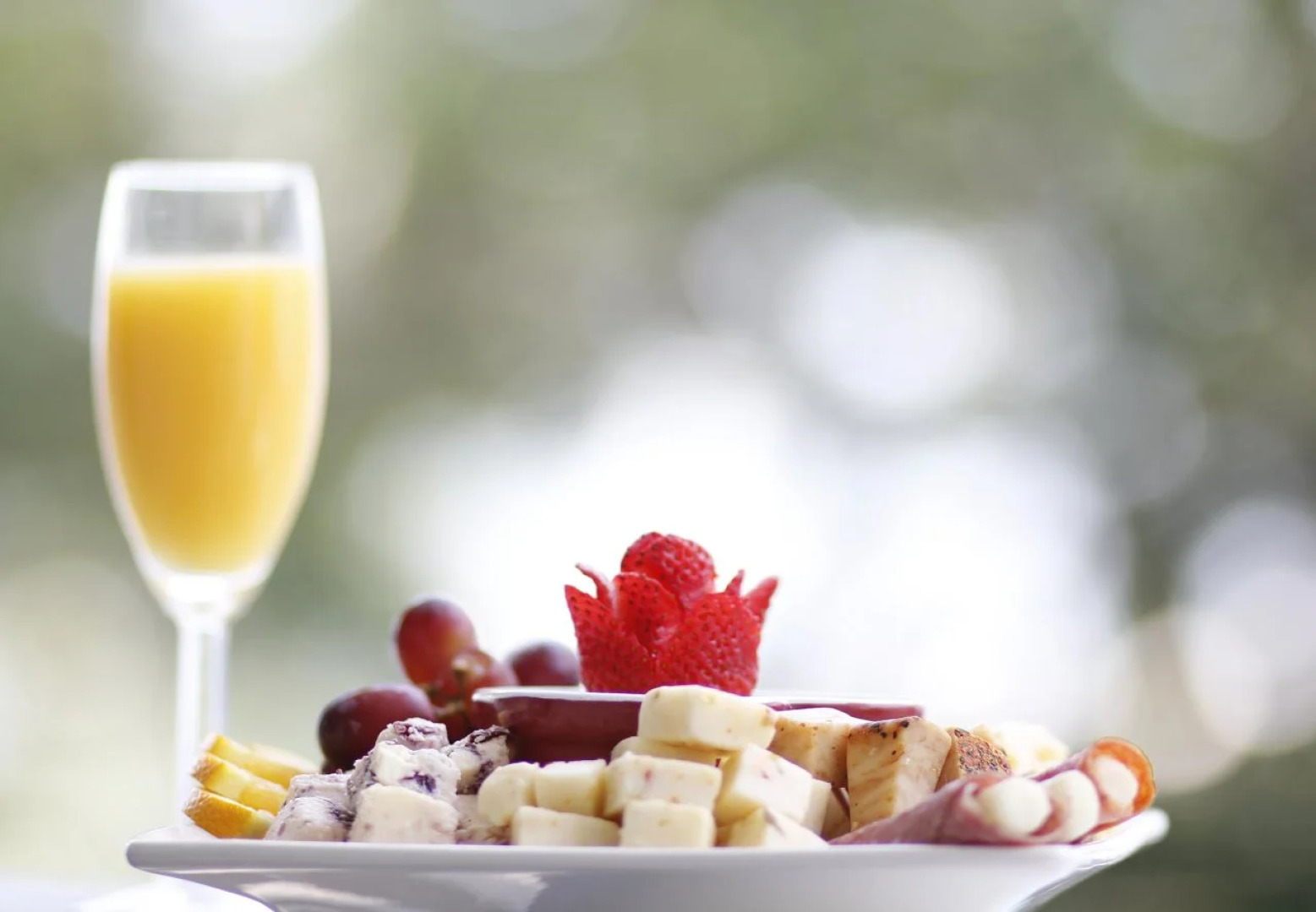 Bayfront Westcott House St Augustine B&B