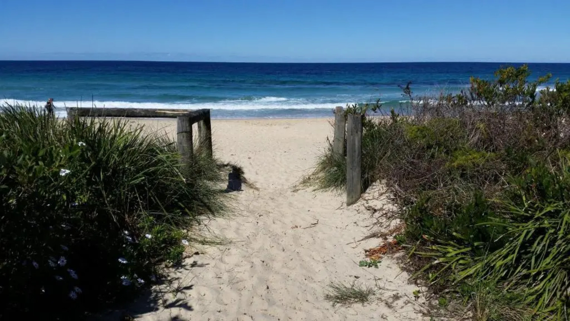Dolphins of Mollymook Motel and Fifth Green Apartments