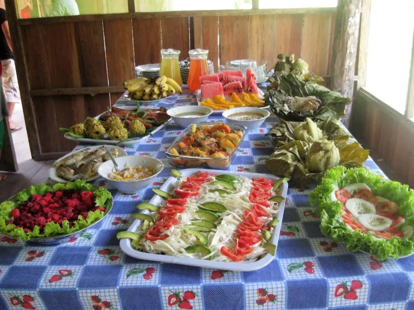 Lodge Jungle Wolf Expeditions