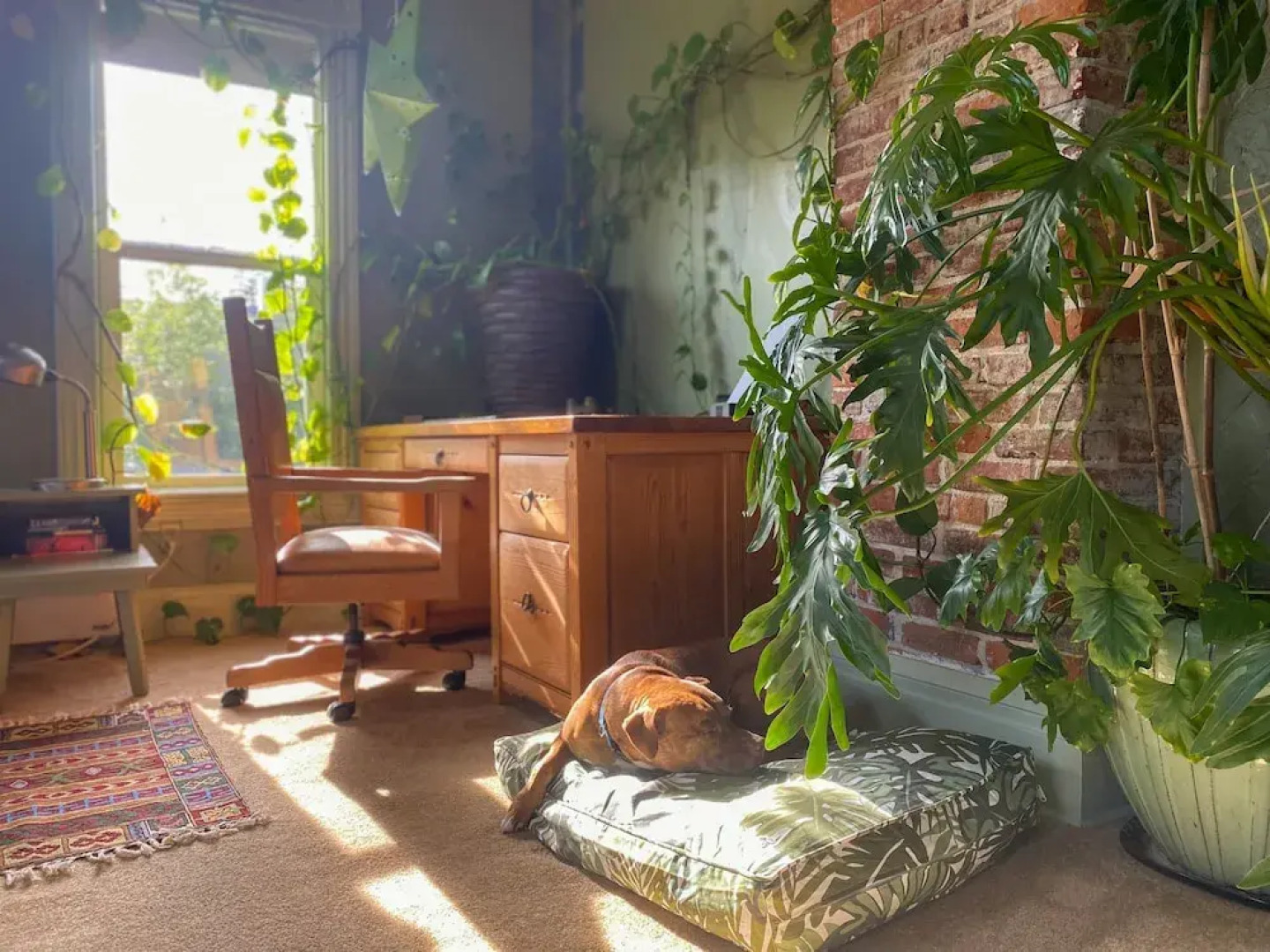 Upstairs at Thevictorian - Lush Walkable and Dog-friendly Retreat - Steps From Downtown Bellingham