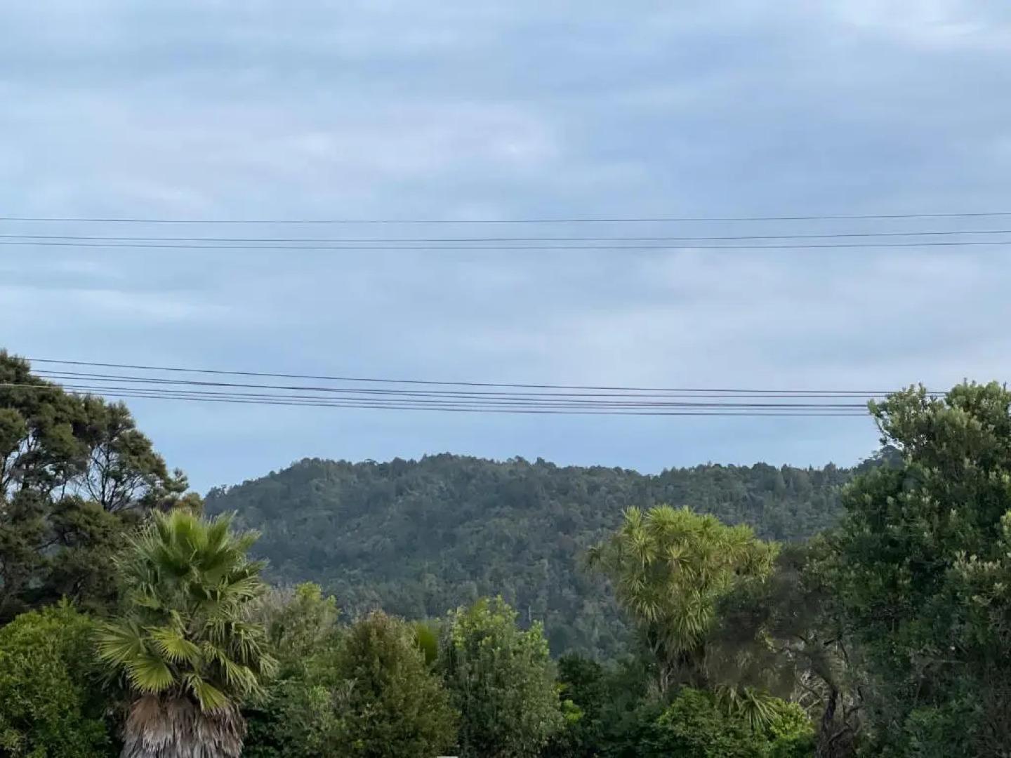 Waitakere Ranges Bed & Breakfast