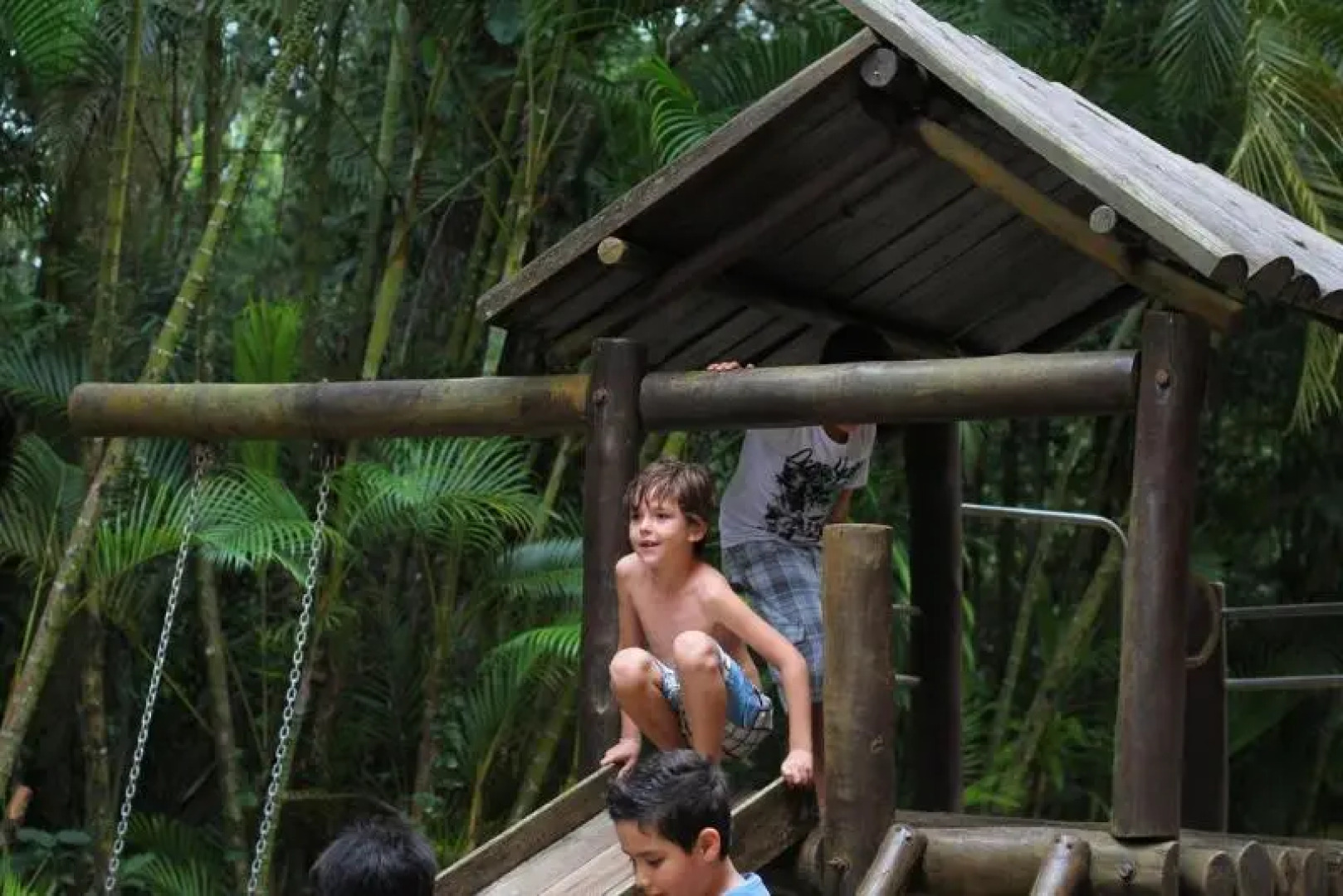 Amarilis Flat Service