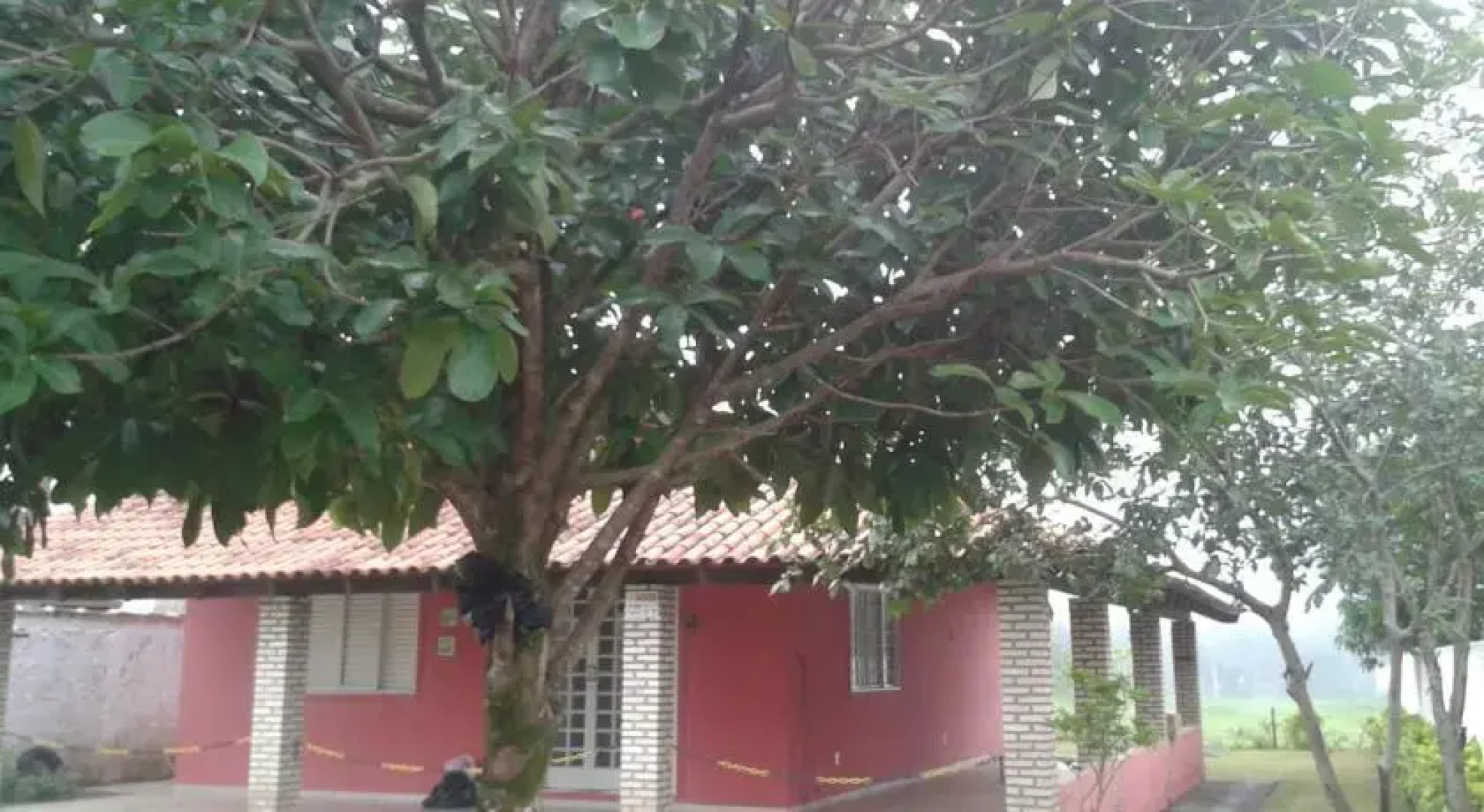 Residência Guimarães