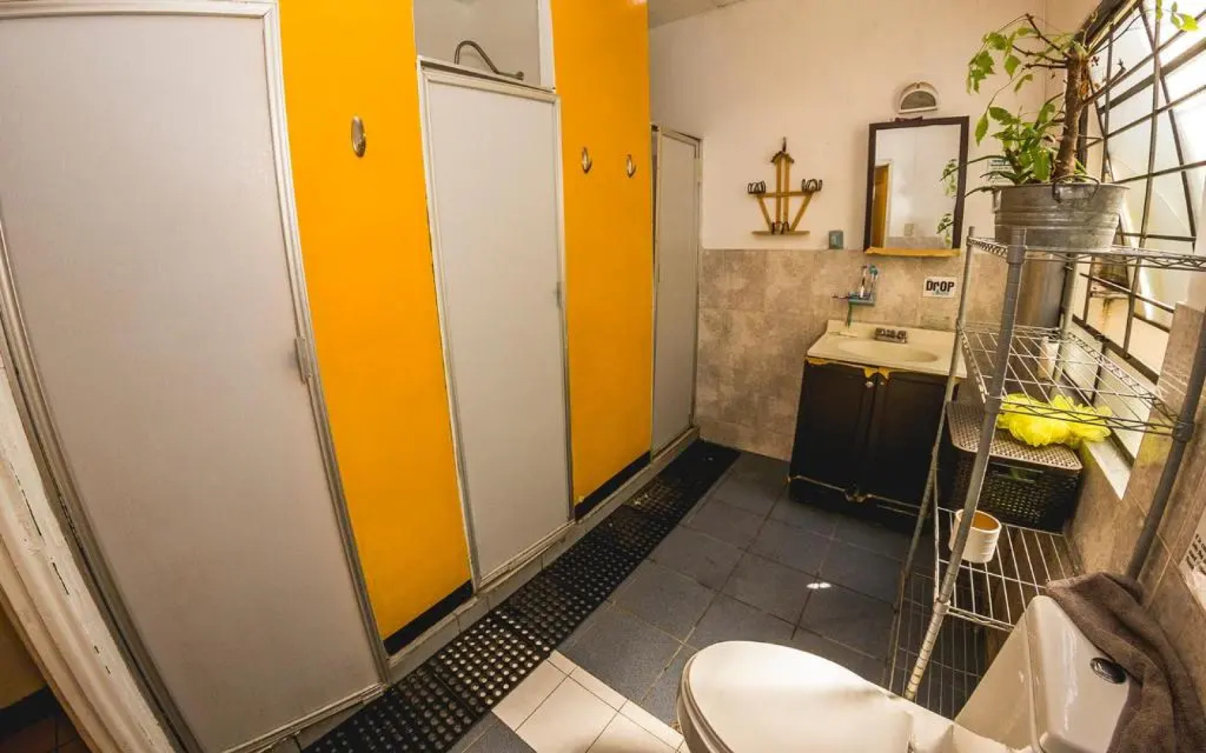 Blue Pepper Chapultepec