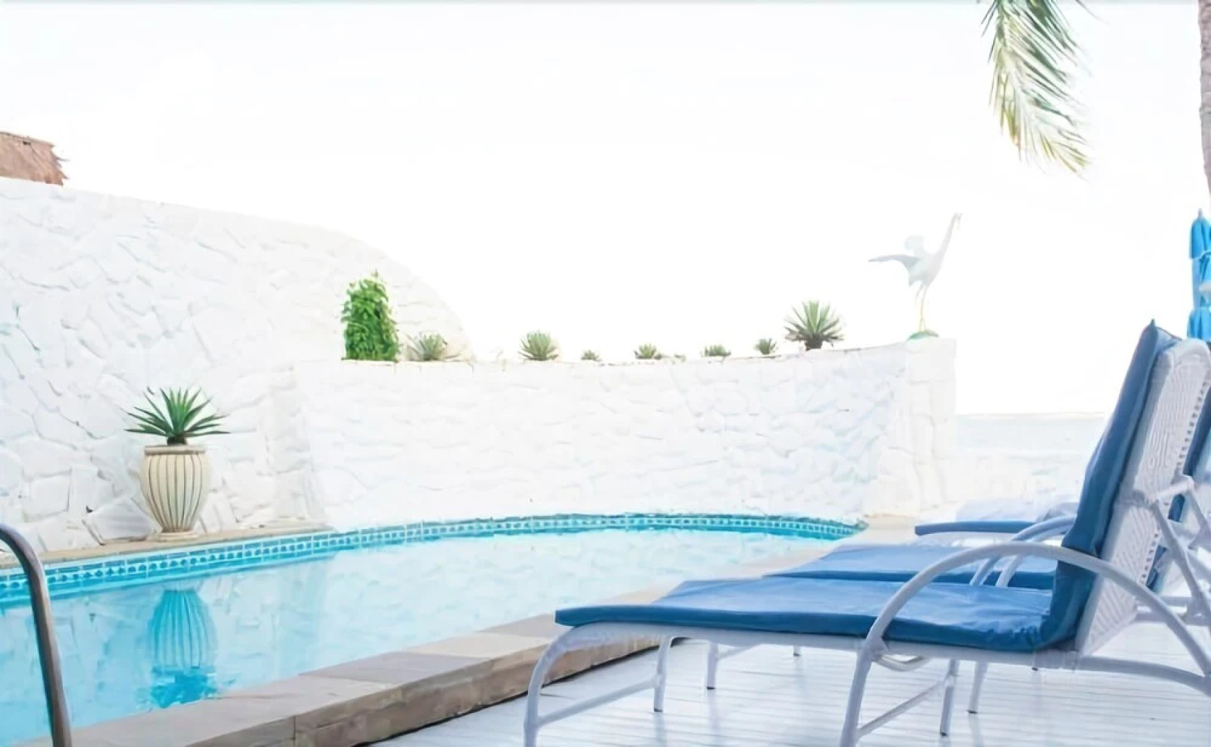 Hotel Pousada Mangrovia