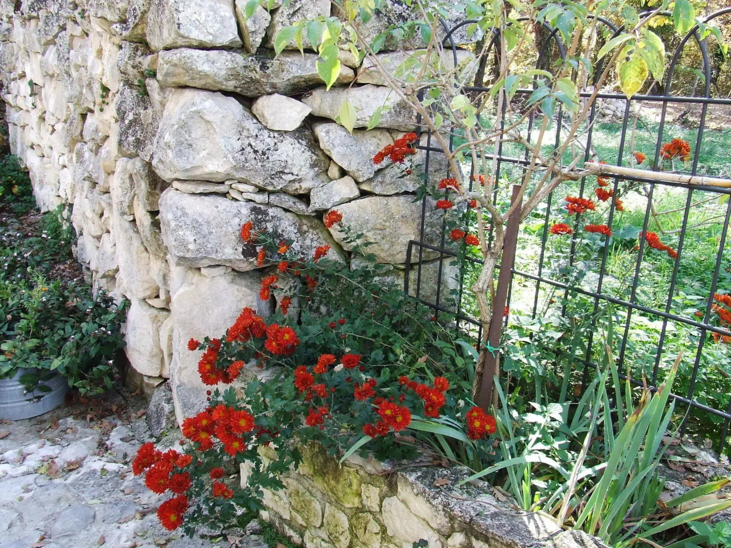 Country House Case Catalano