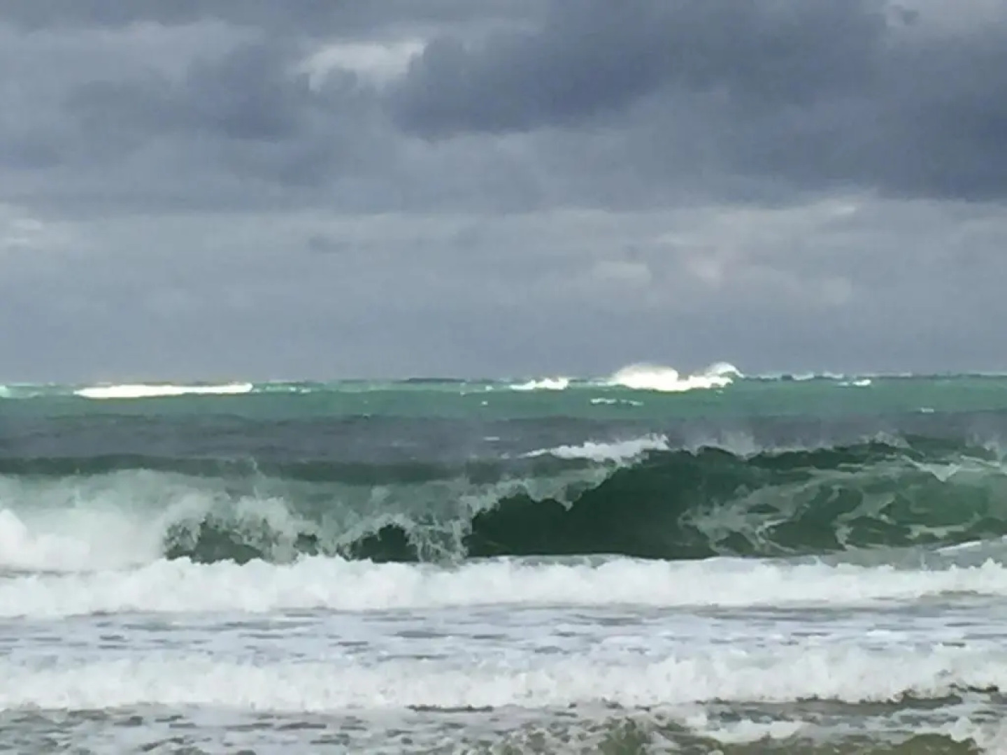 Les Hippocampes (Adults Only)