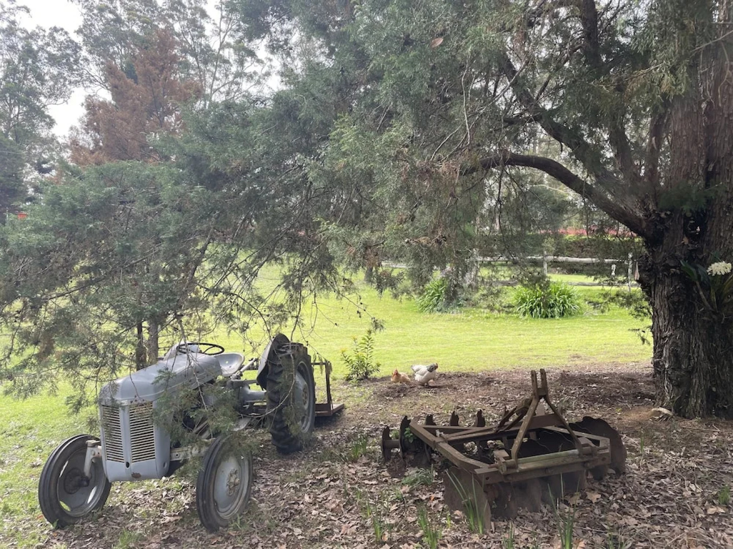Mt Nebo Railway Carriage And Chalet