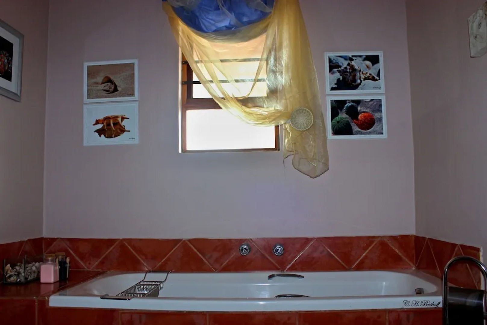 Walkerbay Accommodation