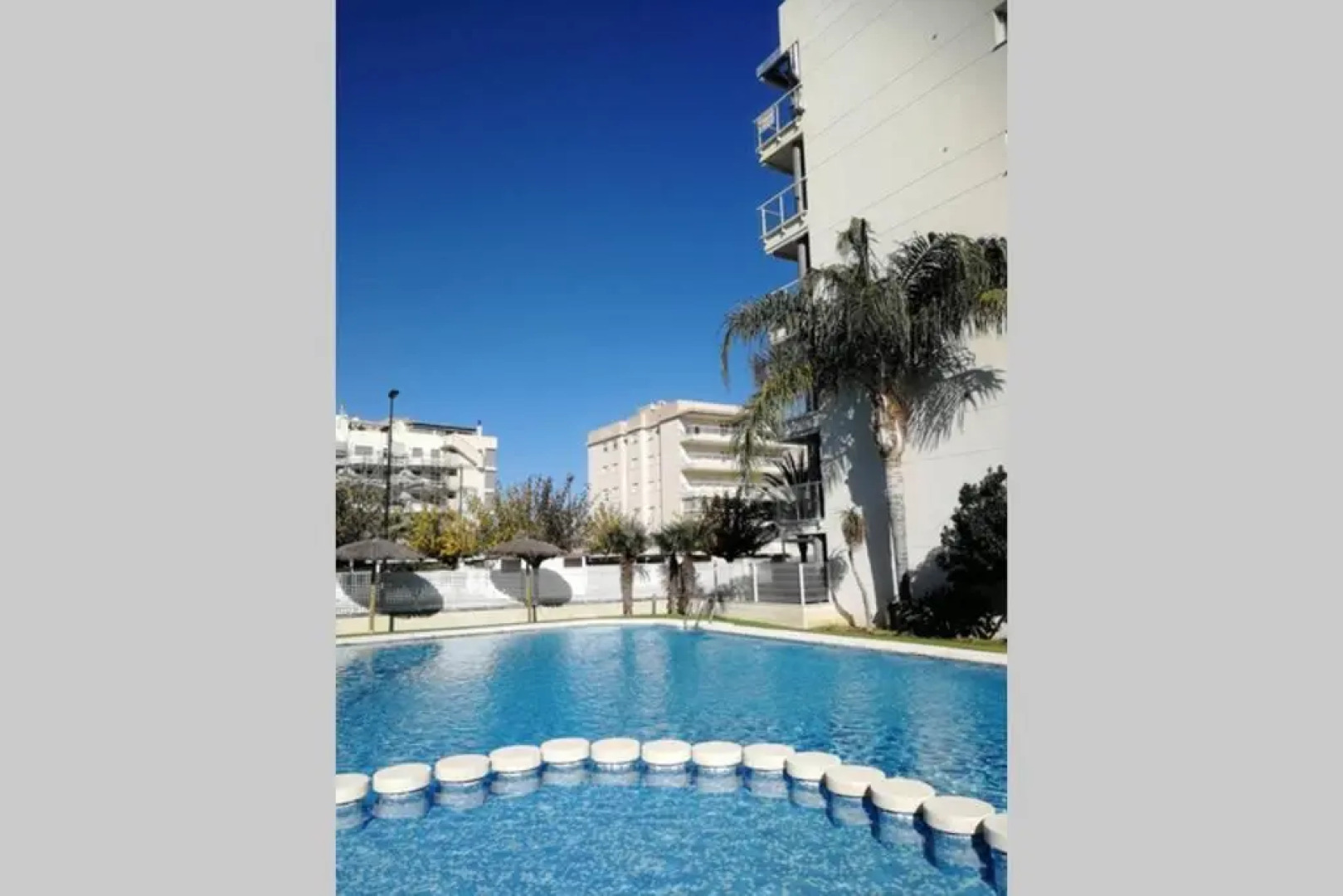 Romántico Daimús 2