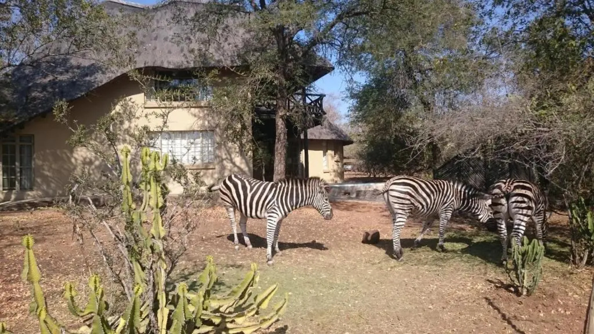 Kruger River Villas - Mtombo