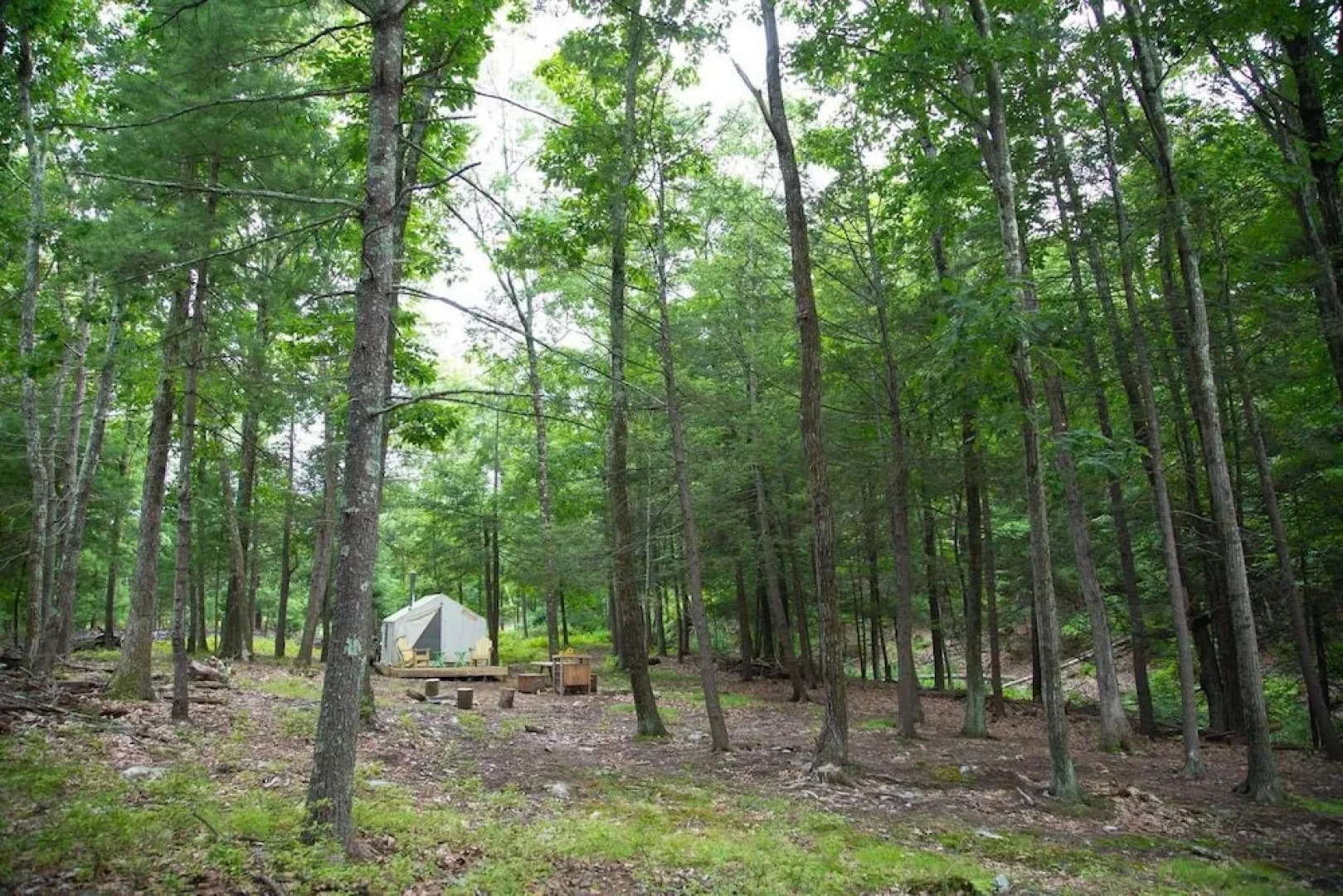 Tentrr - Camp Anulyfe