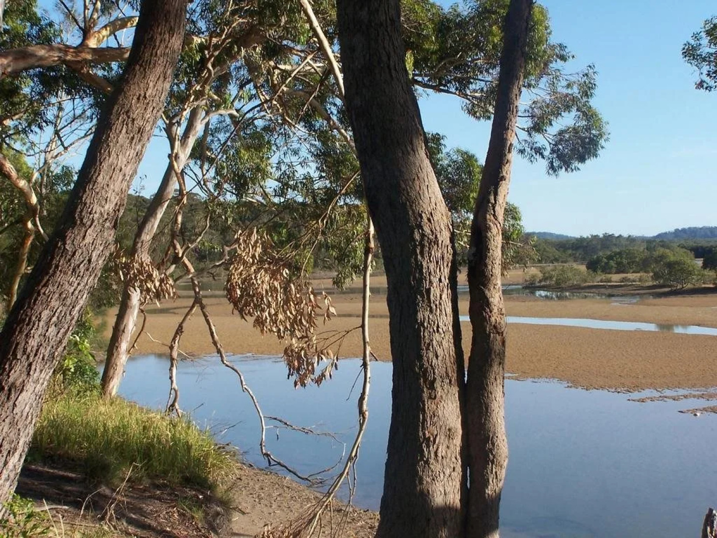 Breakfast with the Kangaroos